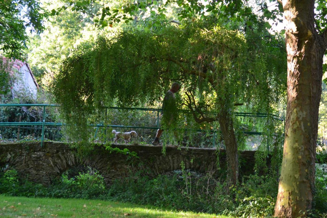 Vila Le Moulin Neuf Beaupréau-en-Mauges Exteriér fotografie
