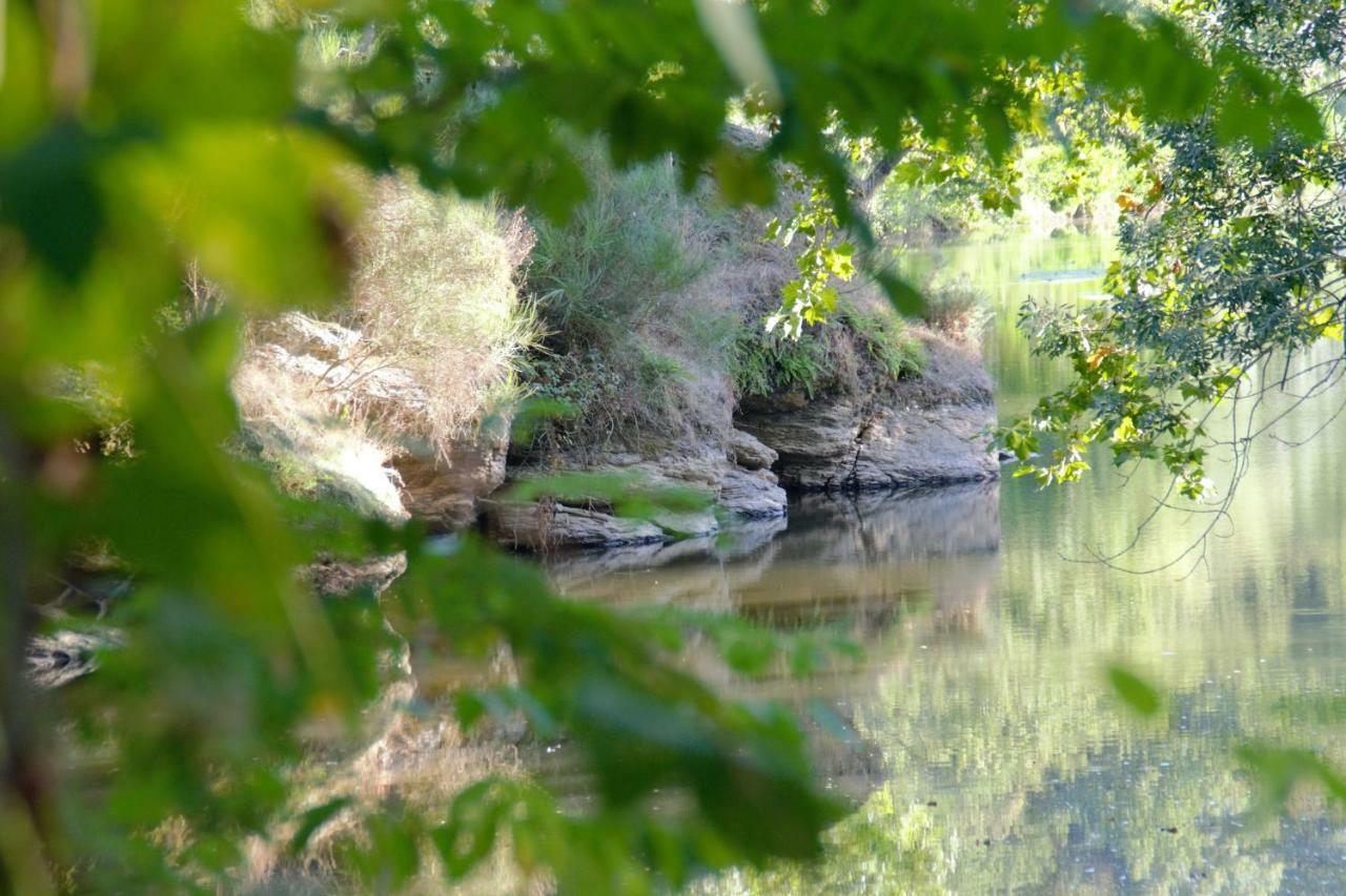 Vila Le Moulin Neuf Beaupréau-en-Mauges Exteriér fotografie